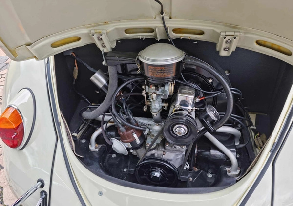 Volkswagen Garbus cena 134000 przebieg: 250, rok produkcji 1962 z Łuków małe 781